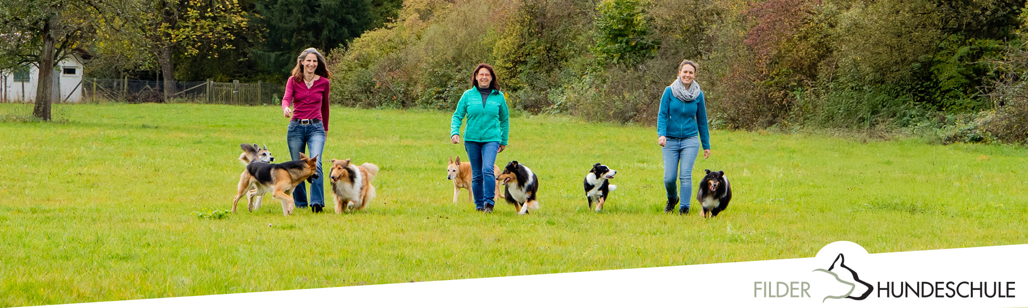 Team_Header_2048x614px