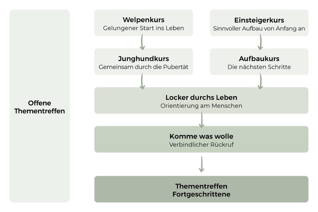Kurssystem Übersicht