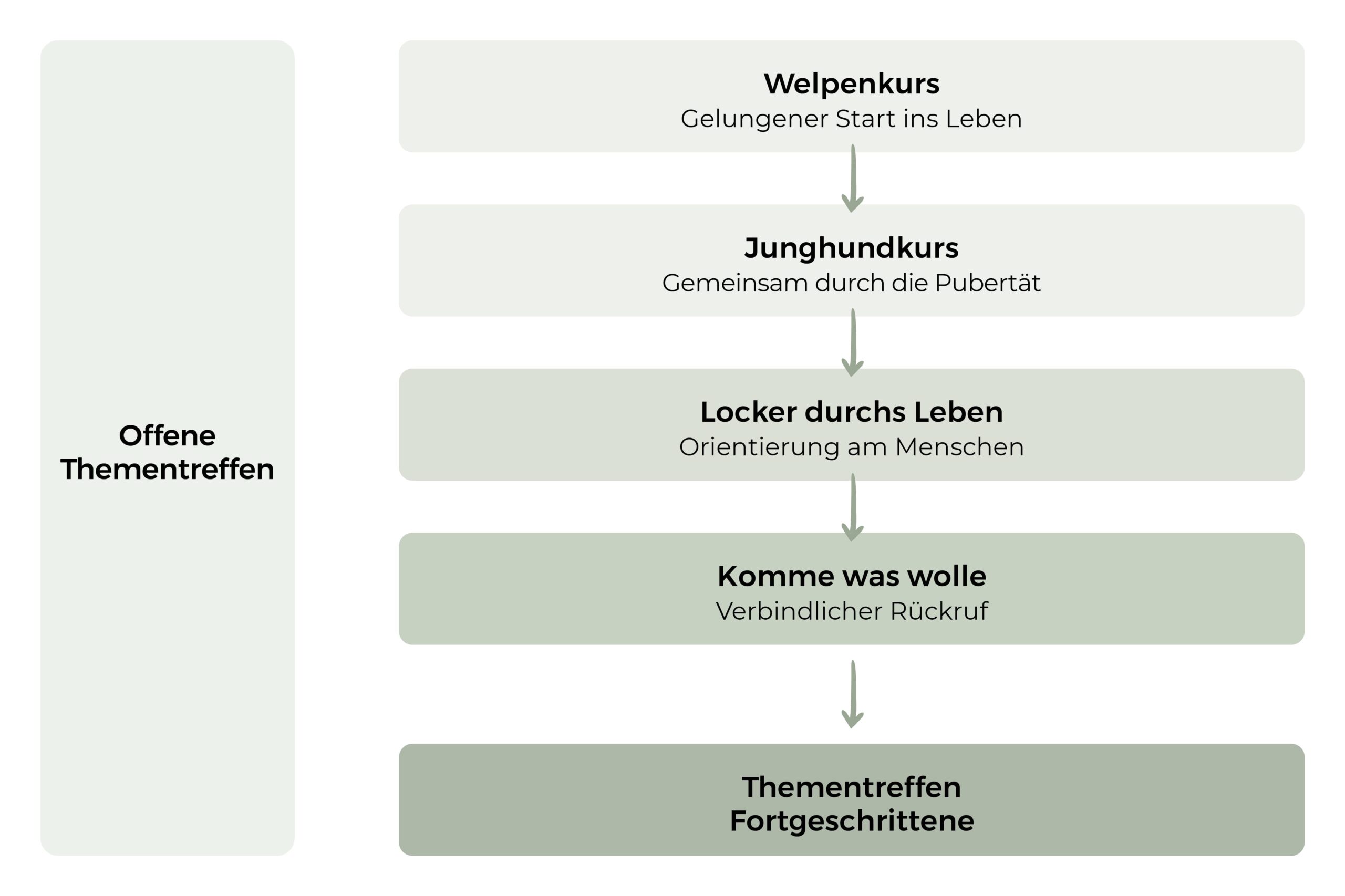 Welpenkurs Übersicht