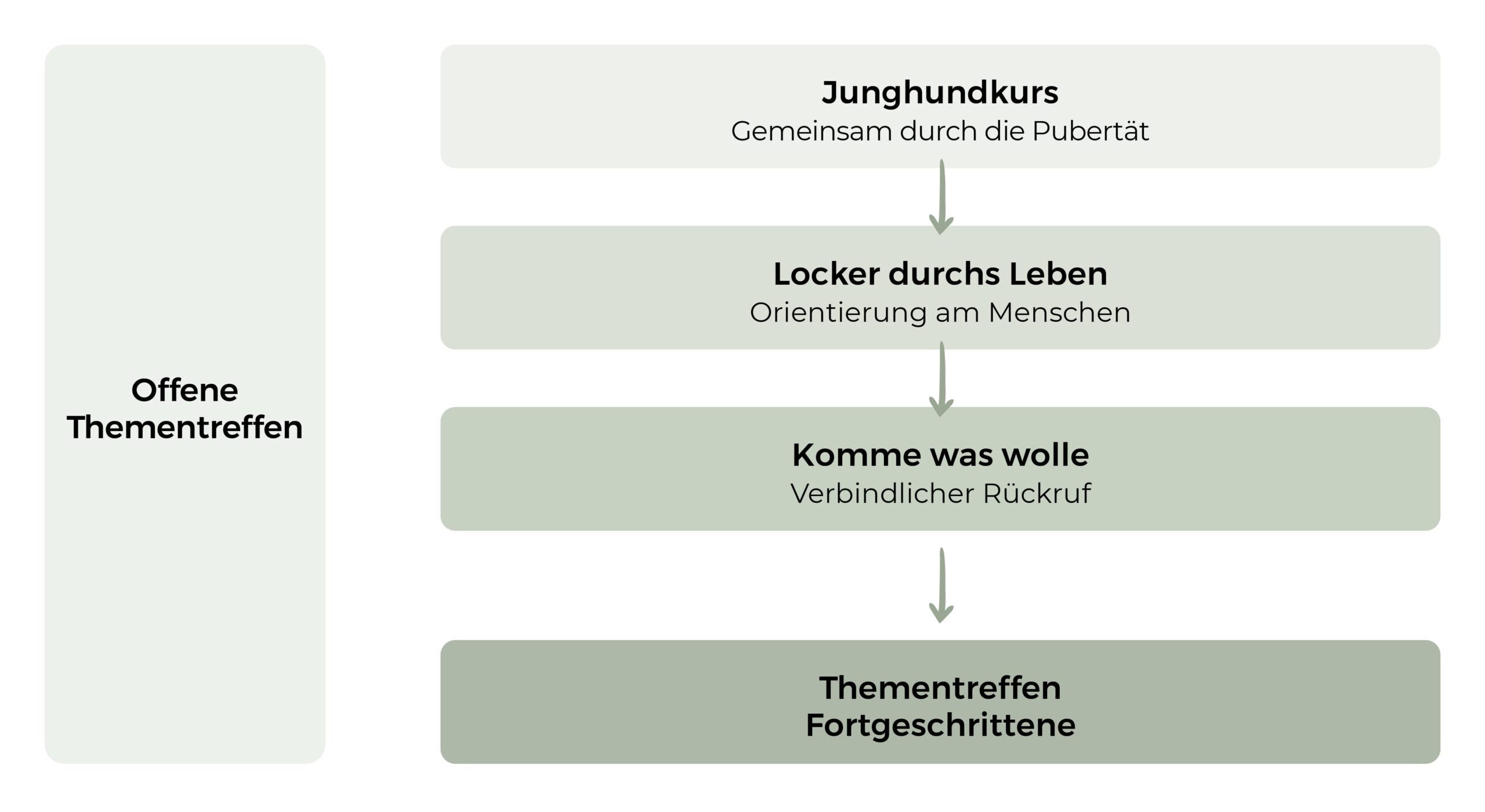 Junghundkurs Übersicht
