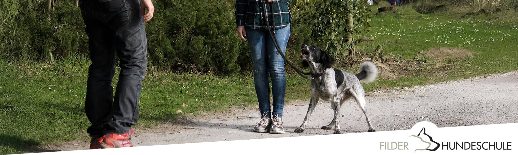 Guide Individuell