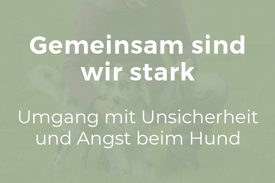 Gemeinsam sind wir stark