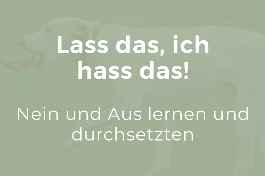 Lass das, ich hass das!