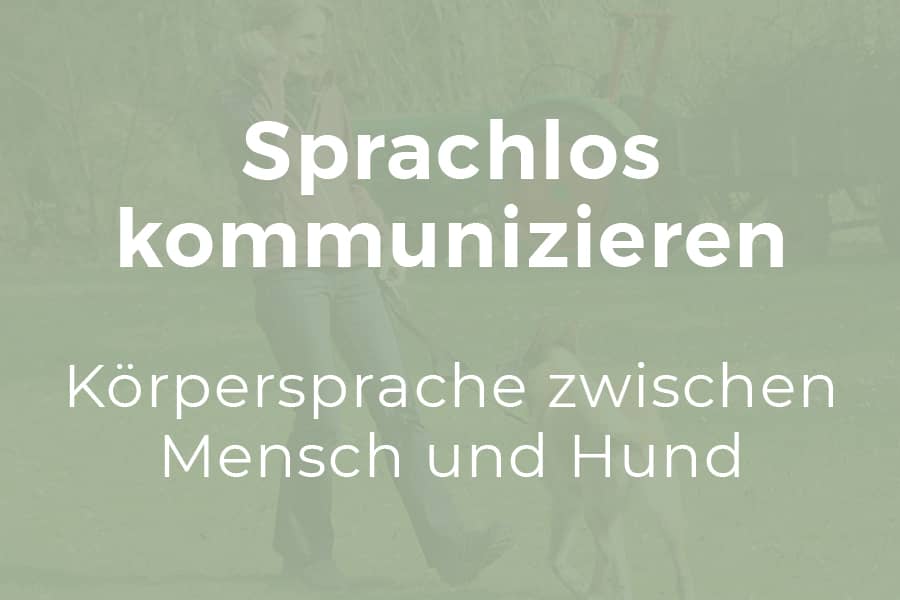 Sprachlos kommunizieren