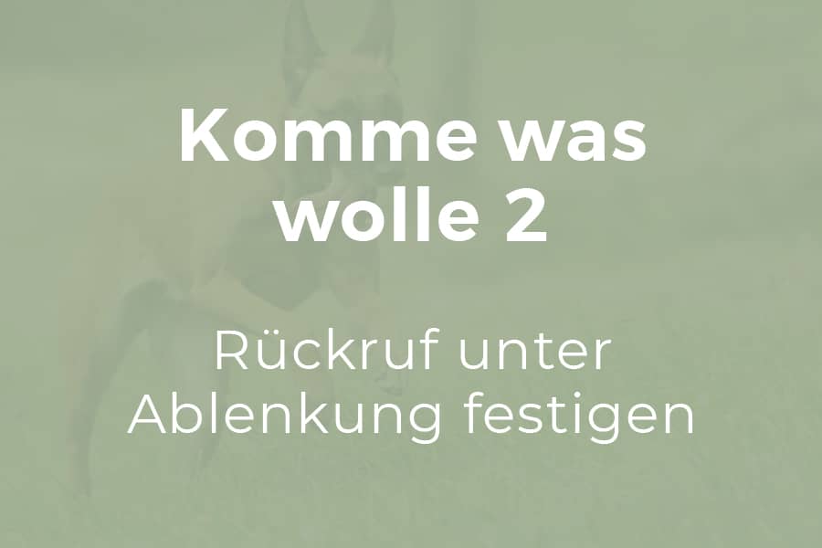 Komme was wolle