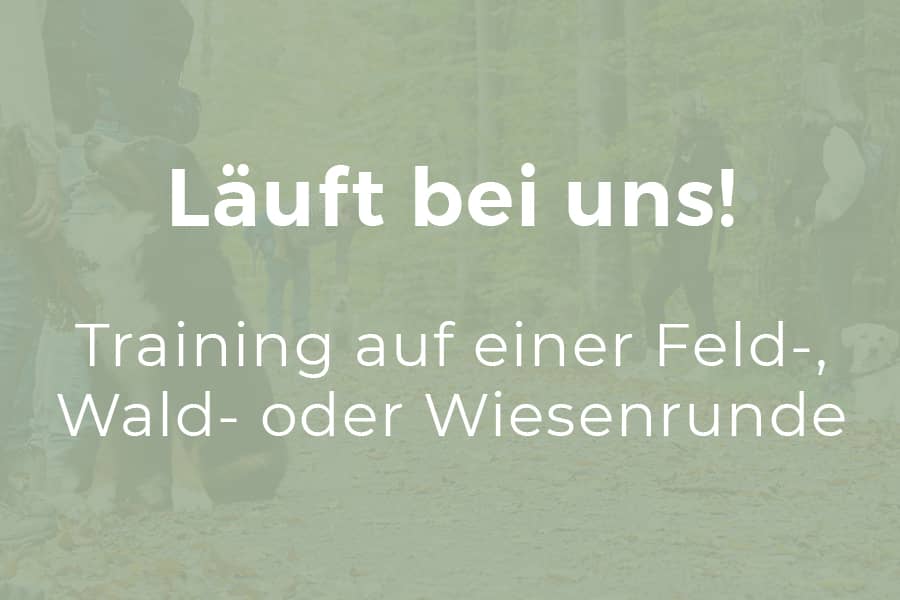 Läuft bei uns!