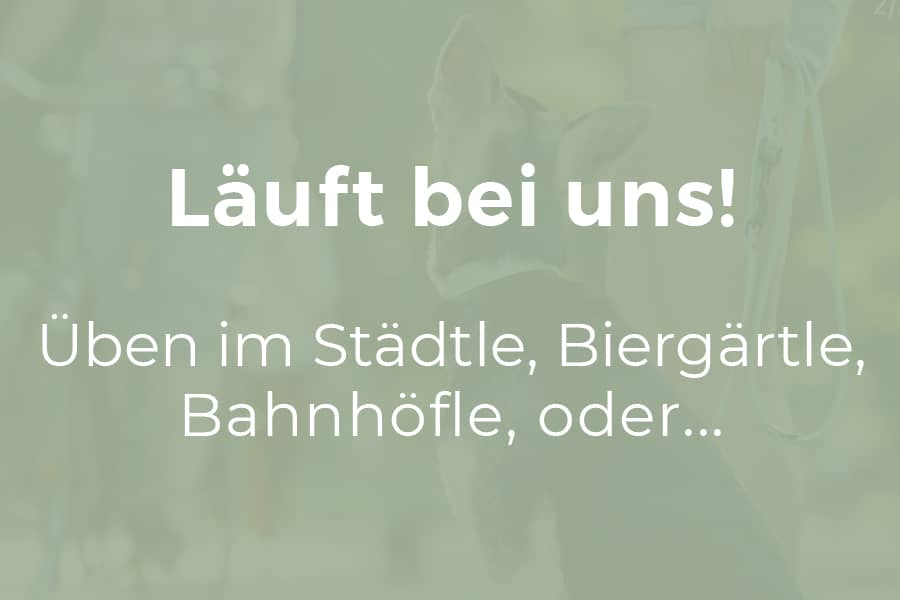 Läuft bei uns. Städtle