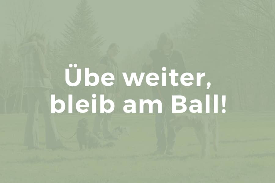 Übe weiter, bleib am Ball!